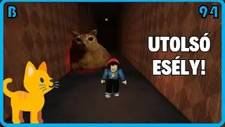 Szerencs&eacute;m lesz kijutni a macska fogs&aacute;g&aacute;b&oacute;l?