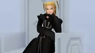 Kingdom Hearts HD 1.5 + 2.5 ReMIX - data org - Larxene