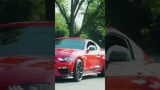 FUSE | Auto & Arts Festival