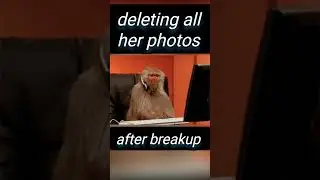 When You Delete Your Ex&rsquo;s Photos After Breakup 💔🐒