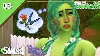 💲GANHANDO DINHEIRO COM FLORES (?) 💚 VIDA DE SIM PLANTA 🌱 EP #3 l Gameplay l The Sims 4