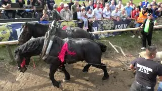-DUCELJA I MEŠIĆ ŠAMPIONI SREDNJE U KOLIMA KOD JAVORACA -