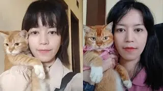 I Took a Photo With My Cat Every Day for 2 Years (+ Hair Growth Timelapse)