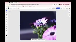 Photoshop Cropping & Exporting from Photoshop Web
