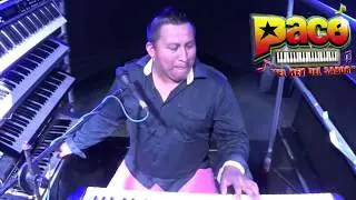 El Perro Ron | Paco El Rey Del Sabor [RBMX®]