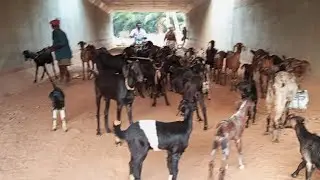 ఈరోజు అయితే మా ఇంటి దగ్గర మా బావ గారు ఇంటిదగ్గర ఏం పని చేశారో చూసేద్దాం రండి 