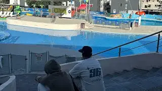 vinimos a pasarla bien, y la pasamos bien (vcp 25)