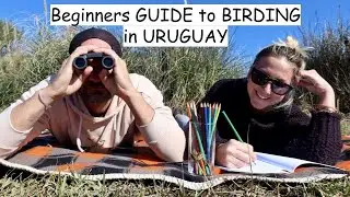 Beginners GUIDE to BIRDING in URUGUAY