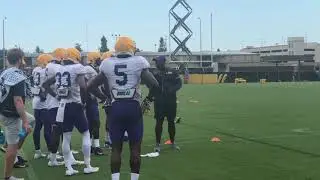 LSU WRs being coached up by WR coach Mickey Joseph