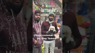 Best pet shop in Yamuna Nagar pom male puppy join new family#puppyshop #puppylove #puppylife #puppy