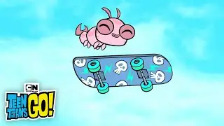 Searching for Silkie | Teen Titans GO! | Cartoon Network