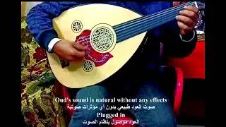 Bosphorus Pulse: Hand-Carved One-Piece Turkish Oud نبض البوسفور: عود تركي من قطعة واحدة محفور يدويًا
