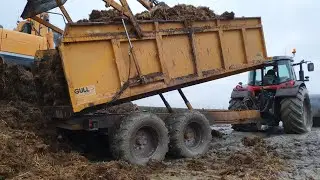 Mucking out