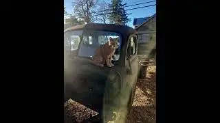52/53 Dodge 12v Cummins dually Build. #diesel