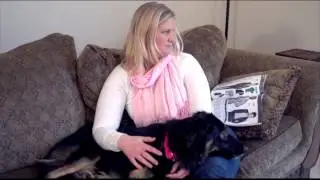 PetSafe Indoor Ultrasonic Bark Control System