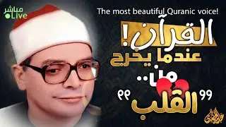 تدبر هادئ لكل آية في تلاوة مميزة 🌿 تنير العقل ✨ | Reflective Quran Tilawah