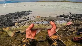 #11 No talking, just fishing ASMR in Iceland