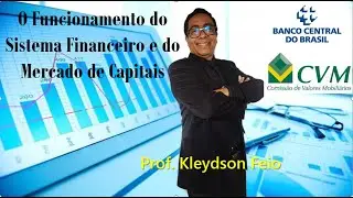 O Funcionamento do Sistema Financeiro