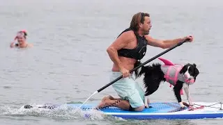 Dogs Take to the Waves: England's Unforgettable Paddleboarding Adventure!
