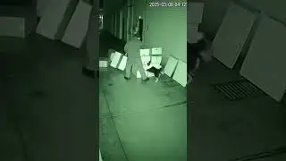 CCTV: Border Collie&rsquo;s Genius Reaction Prevents Disaster! 🐕🧠🚨 | CAM 16:50 #shorts