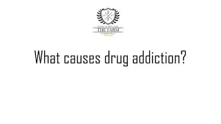 What causes drug addiction?