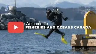 Welcome to DFO