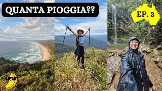 In auto da Brisbane a Sydney: tra escursioni e banane giganti 🚗🍌 – AU ep.3