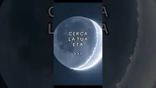 Cerca la tua età!