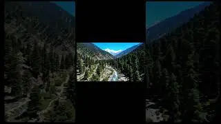 Monkey Vlogging Trend 📈 | Monkey Vlogging In Naran Kagan Pakistan | #animalvlog #monkey #trend