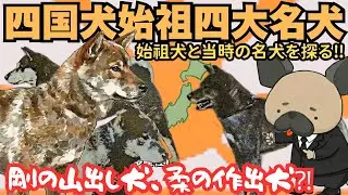 四国犬の始祖となった四大名犬〜剛の山出し犬と柔の作出犬〜四国犬5