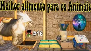 Qual o Melhor alimento Para as Montarias Icarus  Olympus 🐻 EP 16