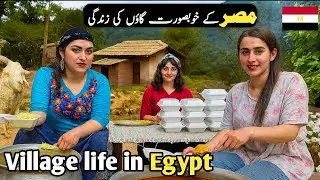 Egypt 🇪🇬 village life Documentary in Urdu and hindi || مصر کے گاؤں کی زندگی