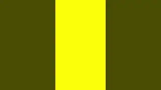 Plain 💛 Yellow Screen #yellow #yellowscreen #colorfuljourney #chromakey #animation #rgbcolors #cmyk