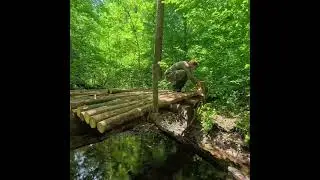 Built This Alone &mdash; No Help #survival #campping #alone #cabinadventure #camping #bushcraft #nature