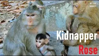 Monkey Rose Loves Baby Dustin So Try to Kidnap Baby Dustin From Mom Diamond