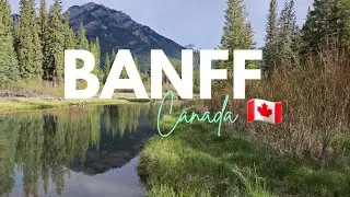 Banff Canada downtown tour  | Tunnel Mountain Resort