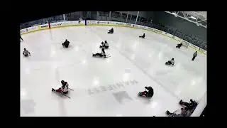 Carolina Sled vs Queen City Sled