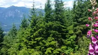 FLYBC paraglider tandem flight