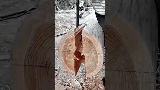 Amazing worktool chisel splits huge logs with precision