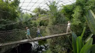 Auf nach Gondwanaland &ndash; Deutschlands gr&ouml;&szlig;ter tropischer Regenwald.