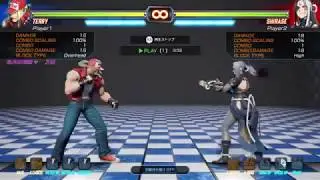 FIGHTING EX LAYER Terry Basic Combos and Setups