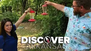 Hummingbird haven surrounded by 1,800 acres in Arkansas