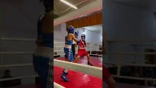 бокс змагання 1 місце червоний кут місто Малин
