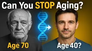 Can We Reverse Aging? | Telomeres, NAD+, Senescence Explained