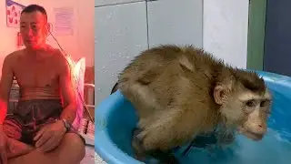 Grandpa is sick in the north and monkeys Sam misses him