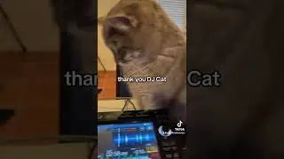 New visuals every time a DJ hits play with CDJs, showkontrol, Resolume, and osc commands
