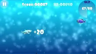 Big Shark