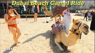 Dubai Beach Camel Ride | Dubai Private Tour | Things To Do In Dubai | Dubai Attractions |VisitDubai