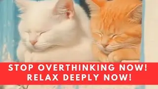 Calm Your Mind😍Deep Inner Peace & Anxiety  Relief 428 Hertz frequency #cute innerpeace #calmmind 