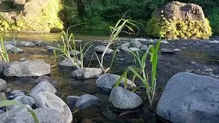 Whispering Night Waters &ndash; Deep Calm for Restful Mind
